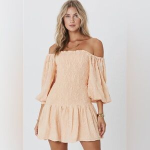 NWT Jens Pirate Booty Haitian rose smocked mini dress